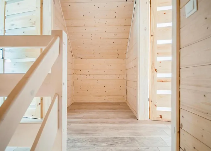 In With Wifi Сарбиново